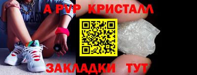 прущие грибы Канаш