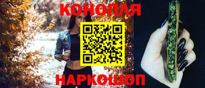 прущие грибы Канаш
