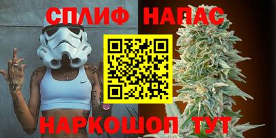 гашик Кандалакша