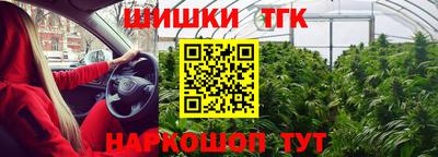 гашик Кандалакша