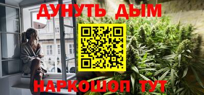 прущие грибы Канаш